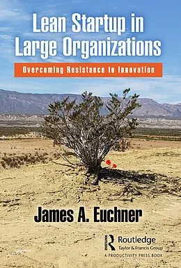 E-Book (pdf) Lean Startup in Large Organizations von James A. Euchner