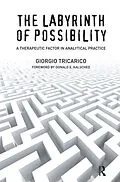 PDF The Labyrinth of Possibility von Giorgio Tricarico