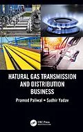 E-Book (pdf) Natural Gas Transmission and Distribution Business von Pramod Paliwal, Sudhir Yadav