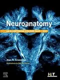 E-Book (epub) Neuroanatomy: Illustrated Colour Text - E-Book von DSc Crossman