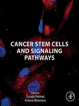 eBook (epub) Cancer Stem Cells and Signaling Pathways de 