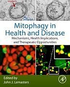 Couverture cartonnée Mitophagy in Health and Disease de John J. (EDT) Lemasters