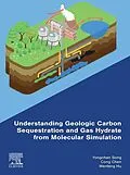 E-Book (epub) Understanding Geologic Carbon Sequestration and Gas Hydrate from Molecular Simulation von Yongchen Song, Cong Chen, Wenfeng Hu
