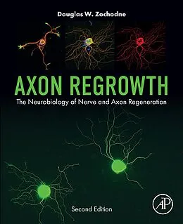 E-Book (epub) Axon Regrowth von Frcpc W Zochodne MD
