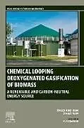 Kartonierter Einband Chemical Looping Deoxygenated Gasification of Biomass von Zhiqiang Sun, Zhao Sun