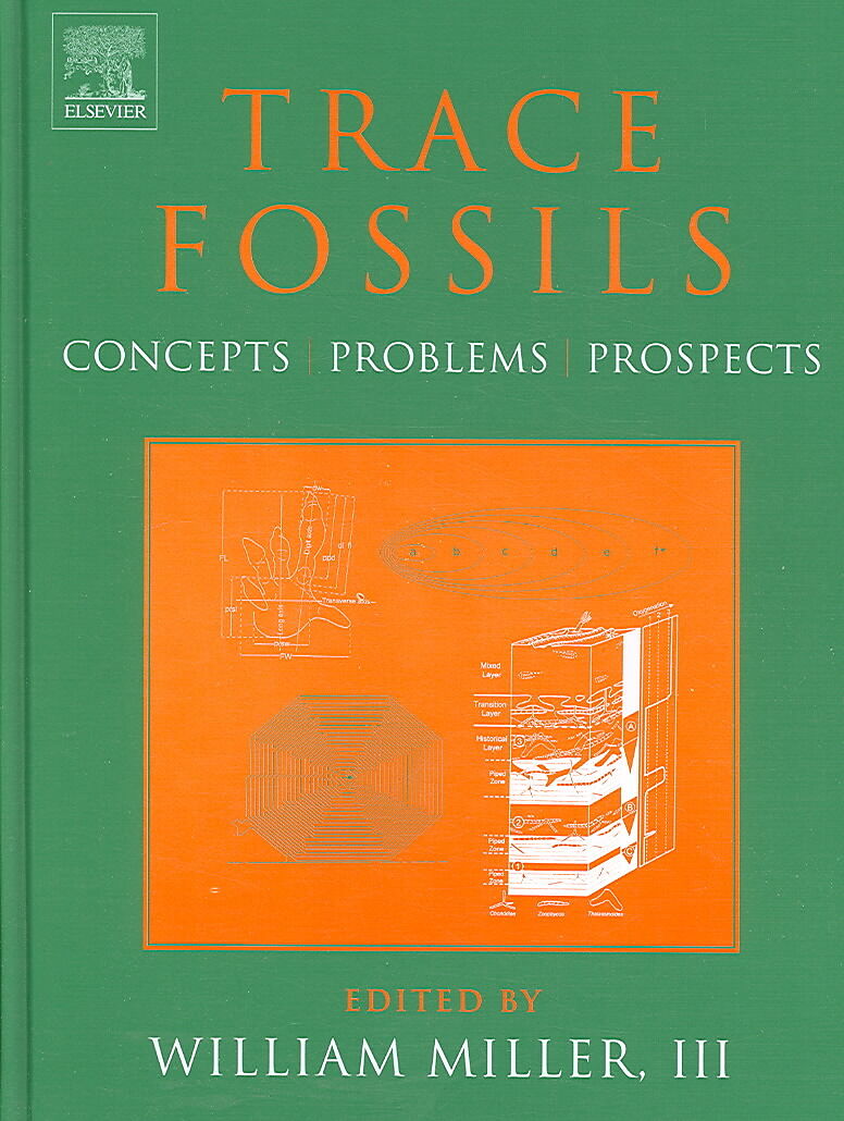 Trace Fossils
