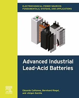 E-Book (epub) Electrochemical Power Sources: Fundamentals, Systems, and Applications von Eduardo Cattaneo, Bernhard Riegel, Jürgen Garche