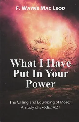 E-Book (epub) What I Have Put in Your Power von F. Wayne Mac Leod