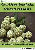 E-Book (epub) Custard Apples, Sugar Apples, Cherimoya and Sour Sop: Growing Practices and Food Uses von Agrihortico