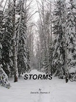 E-Book (epub) Storms (Steven Thomas, #4) von David Thomas
