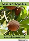 E-Book (epub) Sapota or Sapodilla: Growing Practices and Nutritional Information von Agrihortico