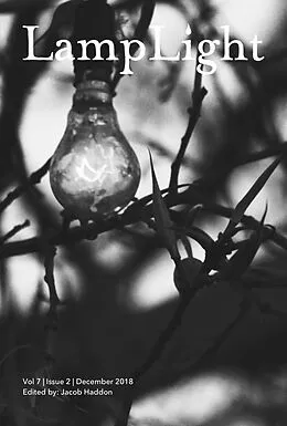 E-Book (epub) LampLight: Volume 7 Issue 2 von Jacob Haddon