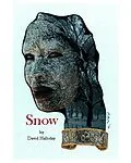 E-Book (epub) Snow (The Cases of Detective Sam Kelly, #3) von David Halliday
