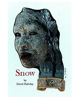 E-Book (epub) Snow (The Cases of Detective Sam Kelly, #3) von David Halliday