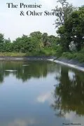 E-Book (epub) The Promise & Other Stories von Pranab Mazumdar