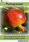 E-Book (epub) Pomegranate: Growing Practices and Nutritional Information von Agrihortico