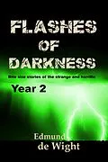 E-Book (epub) Flashes of Darkness: Year 2 von Edmund de Wight