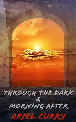 E-Book (epub) Through the Dark and Morning After von Ariel Curry