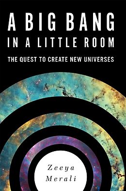 E-Book (epub) Big Bang in a Little Room von Zeeya Merali