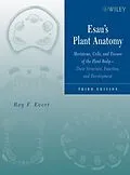 E-Book (pdf) Esau's Plant Anatomy von Ray F, Evert