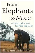 E-Book (epub) From Elephants to Mice von James Mahoney