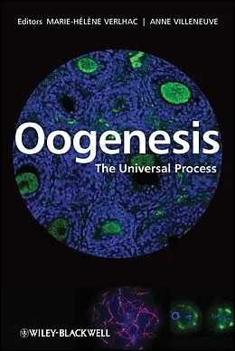E-Book (pdf) Oogenesis von Marie-Helene Verlhac, Anne Villeneuve