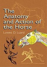 eBook (epub) The Anatomy and Action of the Horse de Lowes D. Luard