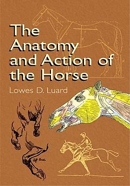 eBook (epub) The Anatomy and Action of the Horse de Lowes D. Luard