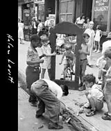 Fester Einband Helen Levitt von Joshua Chang, Sternfeld Joel, Elizabeth Gand