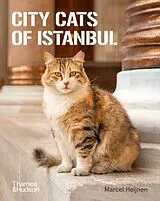 Kartonierter Einband (Kt) City Cats of Istanbul von Marcel Heijnen