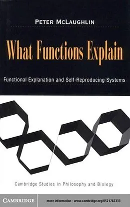 E-Book (pdf) What Functions Explain von Peter Mclaughlin