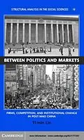 E-Book (pdf) Between Politics and Markets von Yi-Min Lin