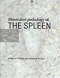 E-Book (pdf) Illustrated Pathology of the Spleen von Bridget S. Wilkins