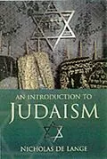 E-Book (pdf) Introduction to Judaism von Nicholas De Lange