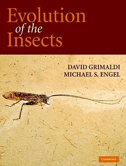 E-Book (pdf) Evolution of the Insects von David Grimaldi