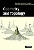 E-Book (pdf) Geometry and Topology von Miles Reid