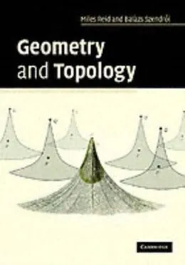 E-Book (pdf) Geometry and Topology von Miles Reid