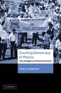 E-Book (pdf) Courting Democracy in Mexico von Todd A. Eisenstadt