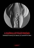 E-Book (pdf) Gallery of Fluid Motion von M. Samimy