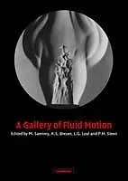 E-Book (pdf) Gallery of Fluid Motion von M. Samimy