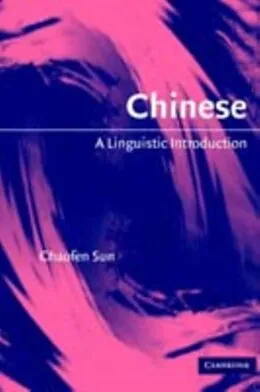 E-Book (pdf) Chinese von Chaofen Sun