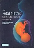 PDF Fetal Matrix: Evolution, Development and Disease von Peter Gluckman