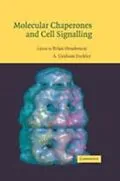 E-Book (pdf) Molecular Chaperones and Cell Signalling von Henderson/Pockley