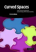 E-Book (pdf) Curved Spaces von P. M. H. Wilson