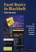 E-Book (pdf) Excel Basics to Blackbelt von Elliot Bendoly