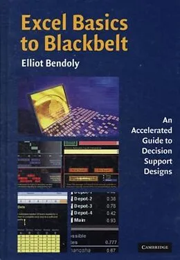 E-Book (pdf) Excel Basics to Blackbelt von Elliot Bendoly