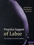 E-Book (pdf) Proactive Support of Labor von Paul Reuwer