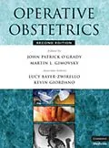 E-Book (pdf) Operative Obstetrics von John Patrick O'Grady