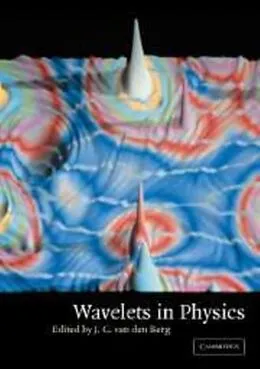 E-Book (pdf) Wavelets in Physics von van den Berg