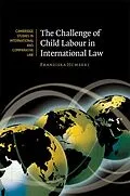 E-Book (epub) Challenge of Child Labour in International Law von Franziska Humbert